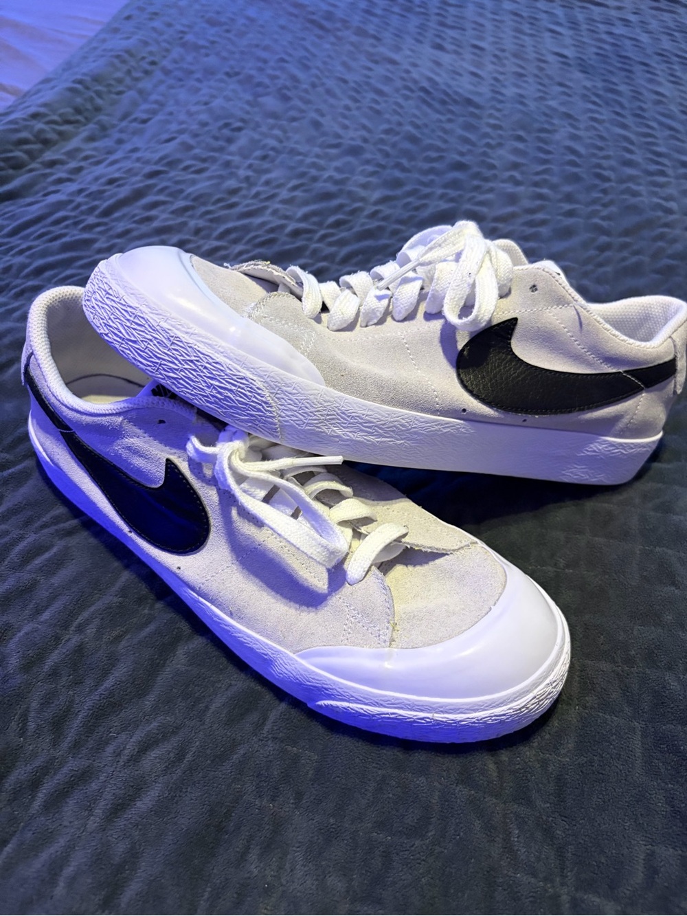 Nike Blazer SB Low XT White Sneakers with Black Swoosh